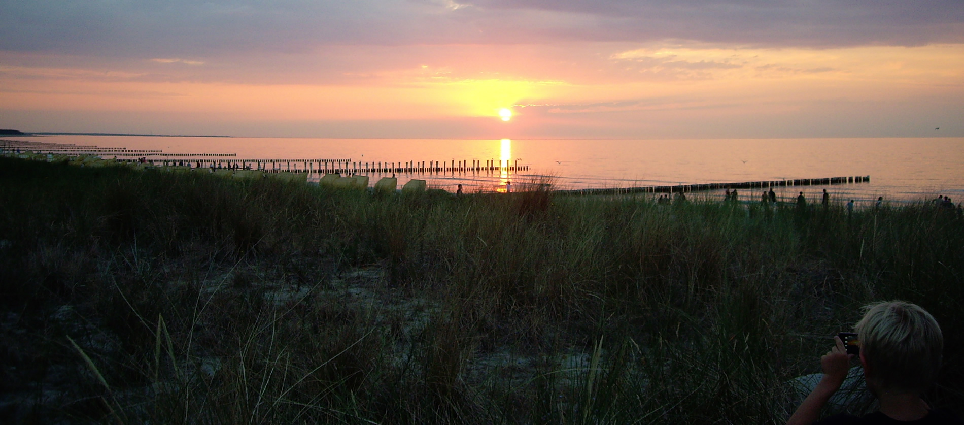 Ferienwohnung Kranich auf Darß - Zingst